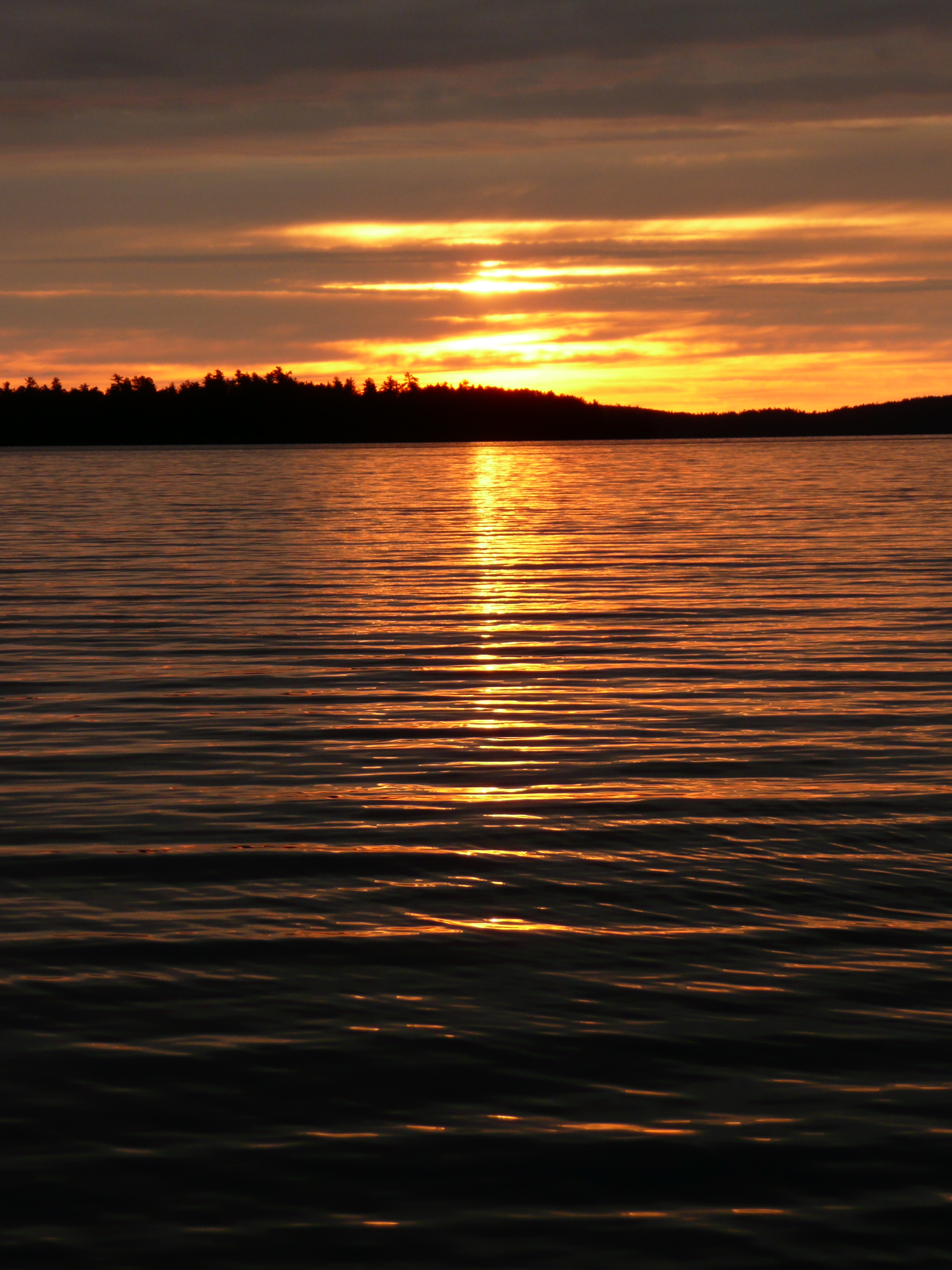 Evening light