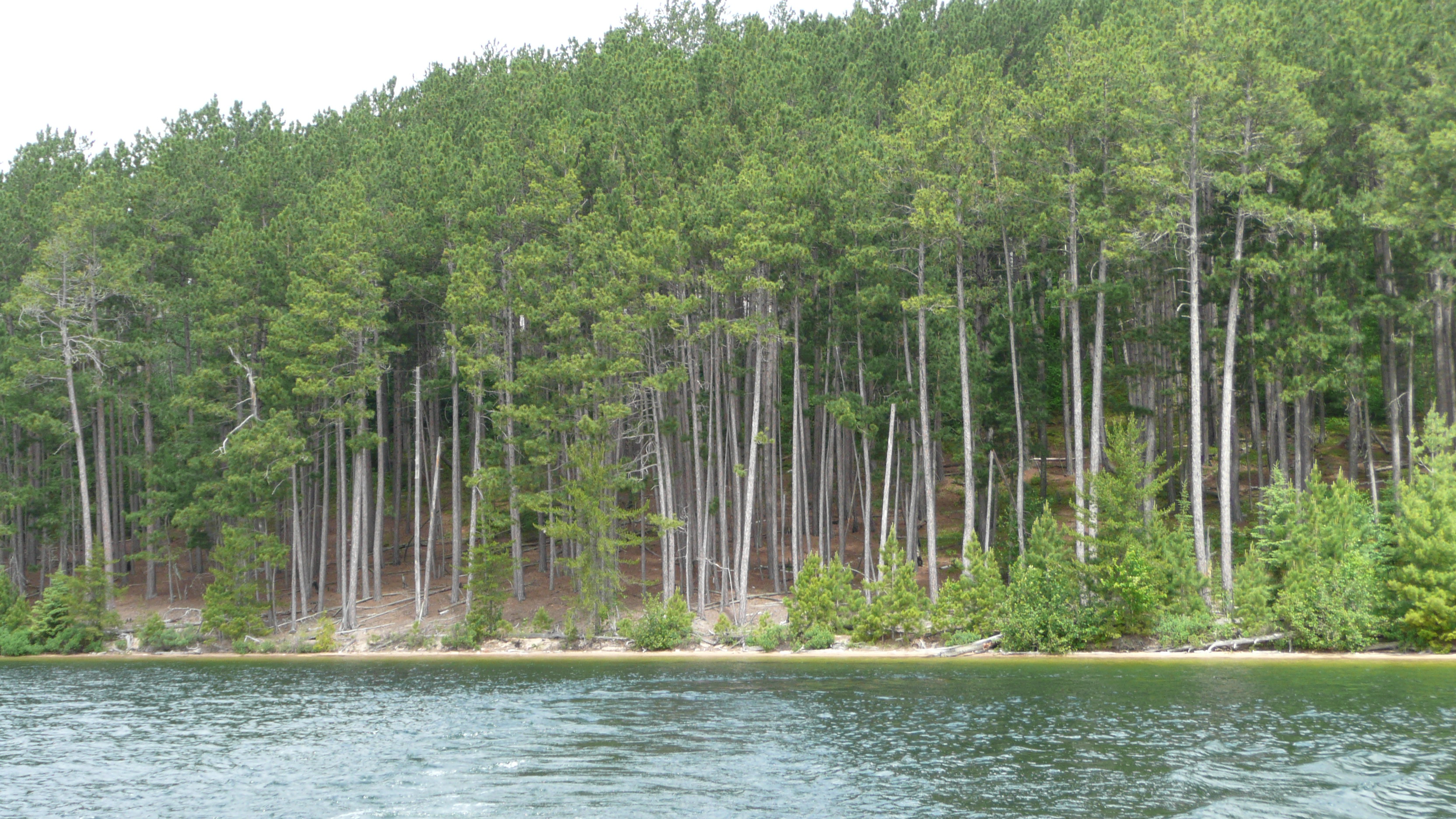 The shoreline